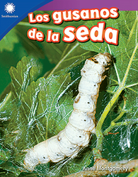 Los gusanos de la seda