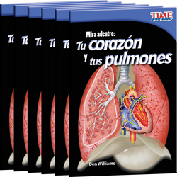 Mira adentro: Tu corazón y tus pulmones 6-Pack