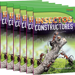 Insectos constructores 6-Pack