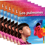 Los pulmones 6-Pack