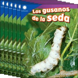 Los gusanos de la seda 6-Pack